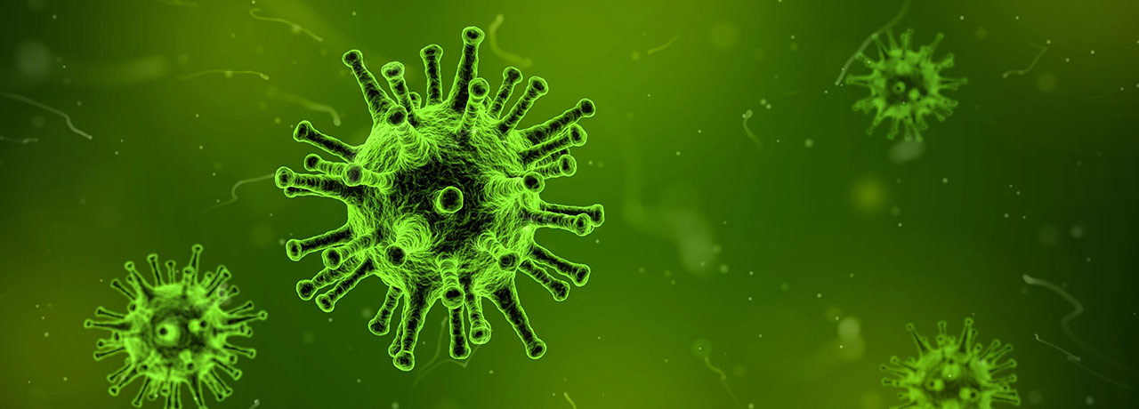 【互联网快讯】2020年1月24日