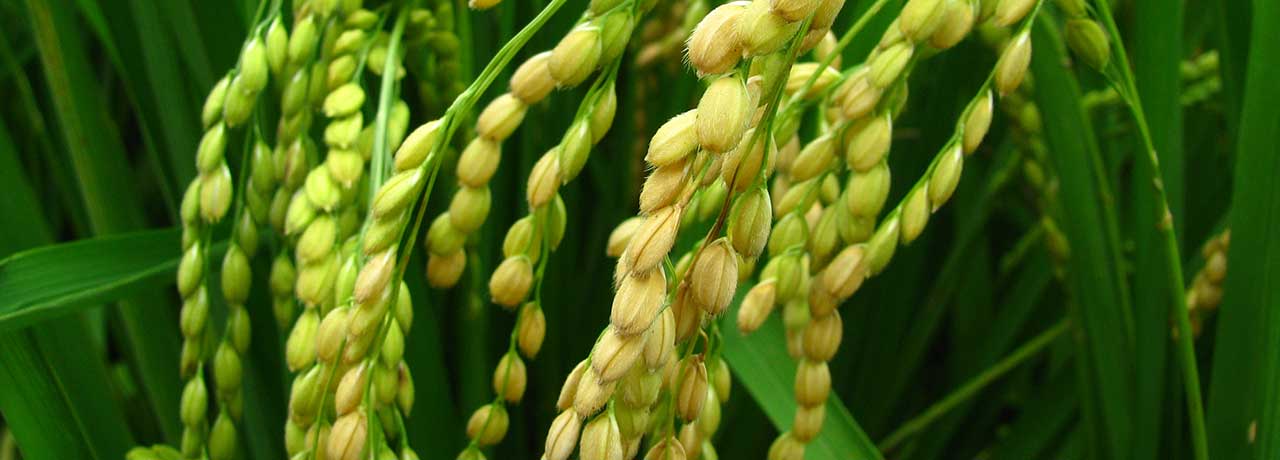 【互联网快讯】2021年8月22日